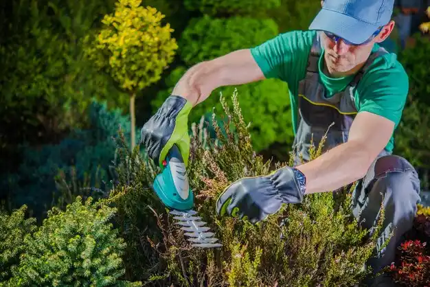 landscaping services Ava